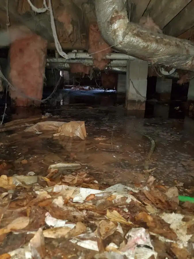 Crawl space flood assessment for Leak Detection & Repair in Swansea