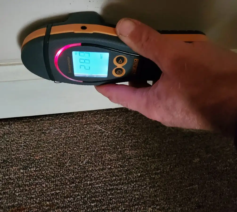 Moisture detection at baseboard during Sewage Cleanup & Sanitation in Swansea